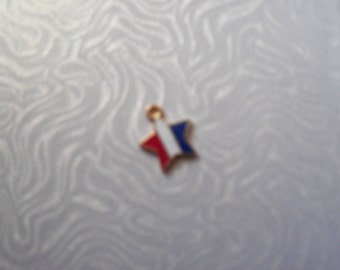 French flag gold tone star charm