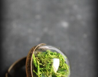Ring "Nursery" MOSS terrarium