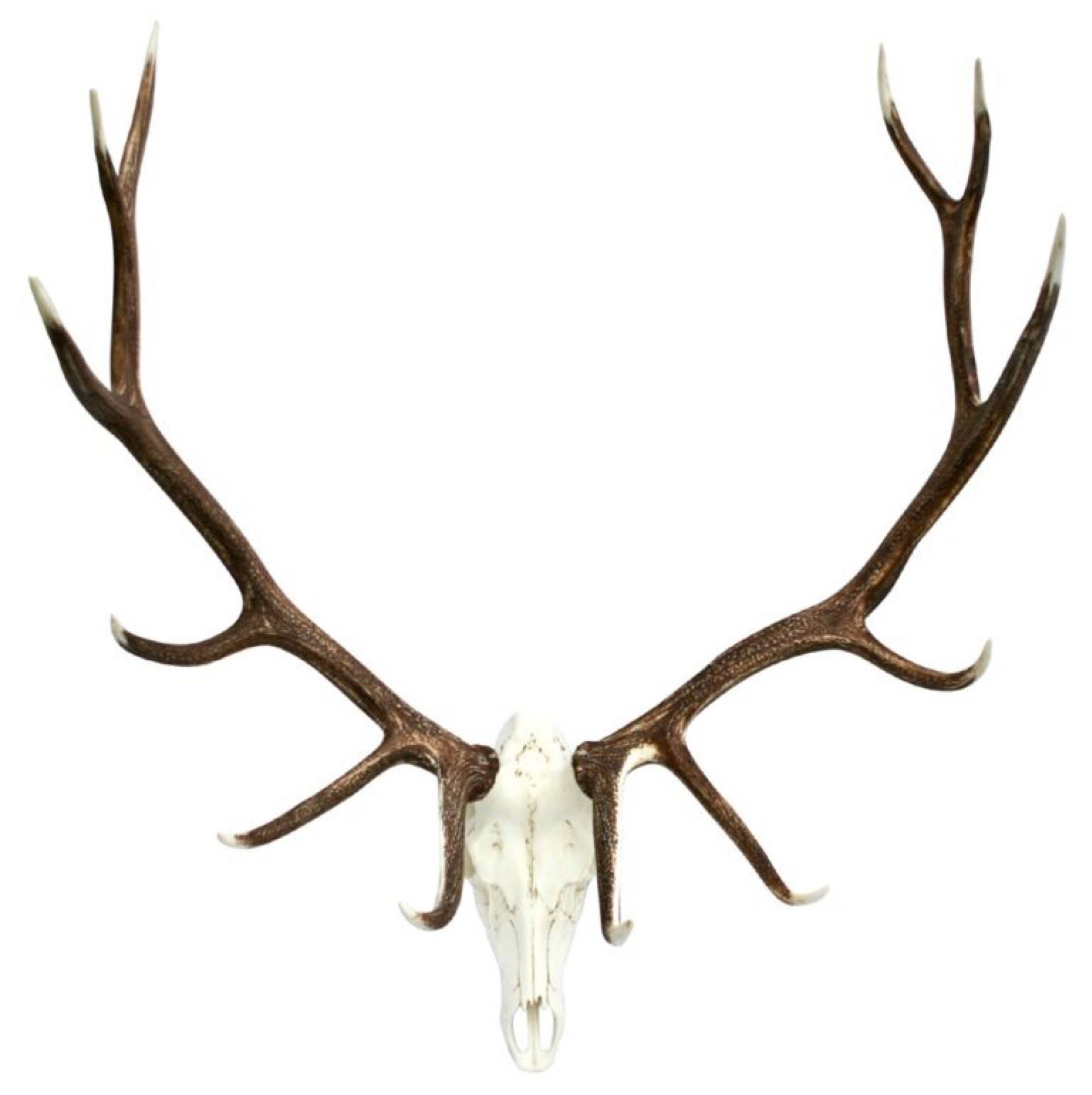 Faux Elk European mount Antler Mount Elk Antlers