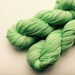 Hank BFL hand-dyed milk and mint