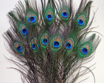 Premium quality natural small PEACOCK feathers - Small/Medium or Medium/Large eyes for millinery, weddings, crafts / 8-12 in, 12 pcs / F104