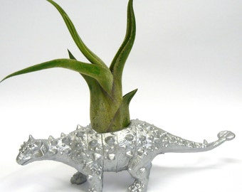 Silver Ankylosaurus Dinosaur Planter with Air Plant // Coworker Gift // For Her // For Him