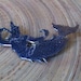 Mermaid Vintage Siam Niello Brooch Pin Suvarnamacha the Sea Goddess