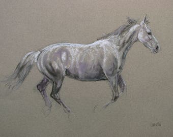 SALE Original horse art equine art energy and movement equine horse charcoal and soft pastel movement art drawing 'Softly' by H Irvine