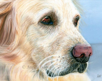 Golden Retriever Painting Print, Dog Print, Pastel, Pet, My Best Friend, Reproduction, Fine Art, Nature, Realism, 5 x 7, Pastel Painting