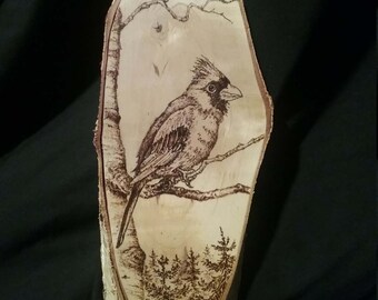Wood burned cardinal on a live edge birch tree slice