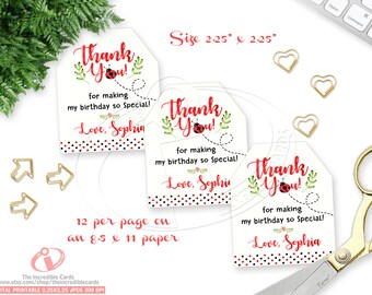 Ladybug favor tags, Ladybug gift tags, Ladybug Decoration, Lady bug, Personalized Favor Tags, Favor Tag, Printable, DIY, Pdf