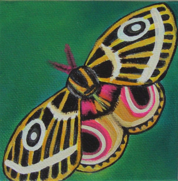 Moth painting insect art nature art gift original moth art