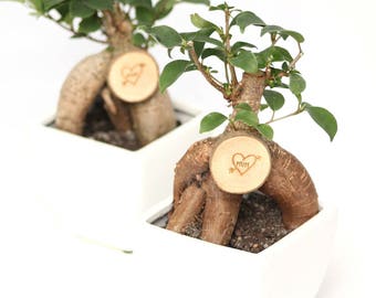 Bonsai Love Mum Tree, Mother's Day gift