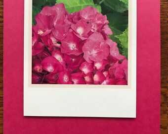 Pink Hydrangea Notecard
