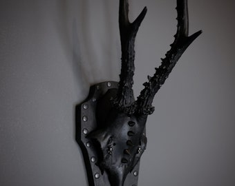 Gothic Roe deer skull antlers taxidermy decor