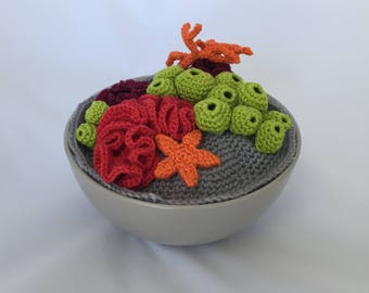 Crochet coral reef in a pot