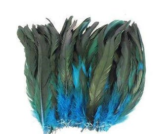 Turquoise half bronze, rooster schlappen feathers, wholesale, craft and costume supply, long feathers