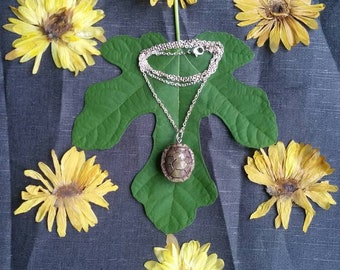Turtle shell necklace