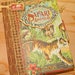 African Safari, Zoo Theme, Scrapbook Album, Mini Album, Photo Album, Graphic 45, Handmade