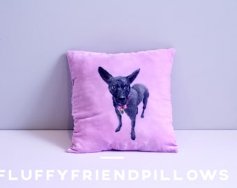 hand painted 100% silk velvet pet portrait pillow15*15