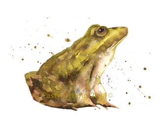 Enchanting FROG Print, frog painting