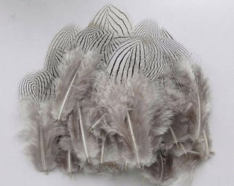 lot de 20 plumes naturelle 2-8cm