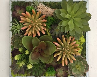 Faux succulents on galvanize frame