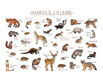mammals columbia