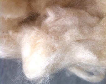 Kapok Fibre for Stuffing, 100% Natural, Java Cotton, silk-cotton, Samauma, Ceiba.