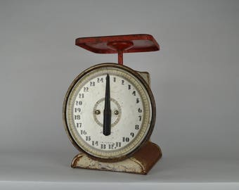 Montgomery Ward Vintage Scale