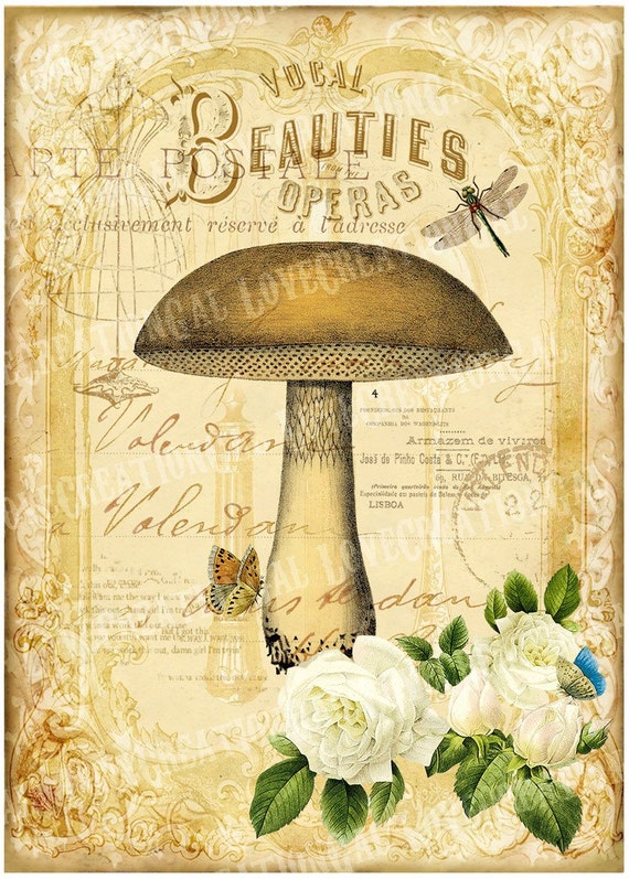 items-similar-to-5x7-printable-art-digital-images-vintage-mushroom-botanical-antique-dragonfly