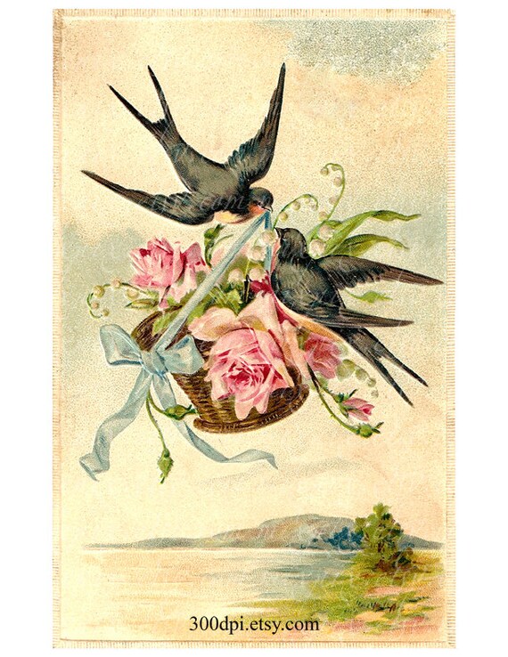 7x10 print card printable scan digital birds vintage postcard & roses