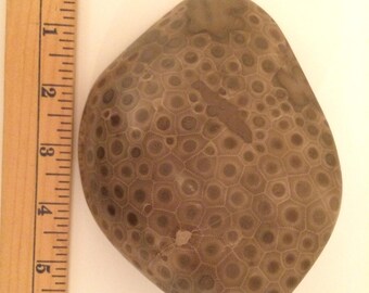 Large Petoskey Stone
