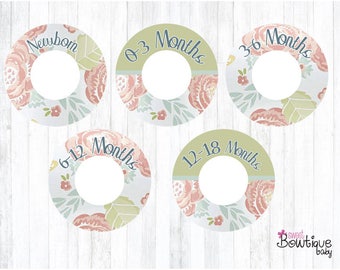 Levtex Baby Charlotte Closet dividers