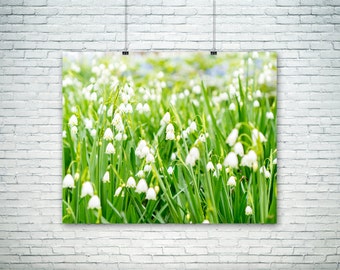 Nature Photography - Bell Flowers - Flower Art - Home Decor - Fall Wall Art - White - Bells - Green - Angelic