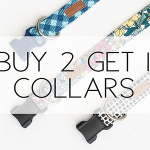 Buy 2, Get 1 Free Dog Collars Special
