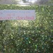 Holographic Unicorn Dandruff Micro Flakes nail art Glitter