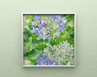 Hydrangea Print from Original Watercolor