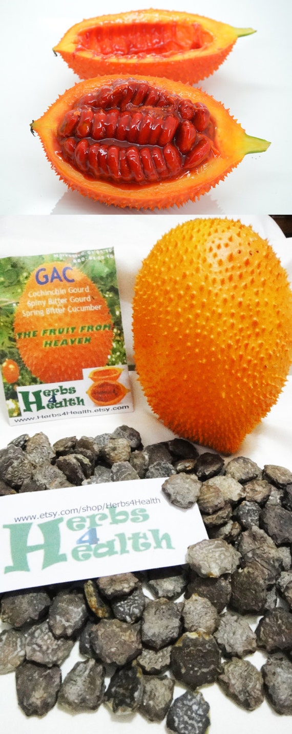 Fresh Organic RARE Exotic Gac Fruit Seeds The Fruit from