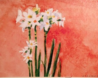 Paperwhites Close Up