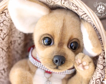 chihuahua Onyx (made to order)