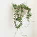 Pyramid Wall Planter Modern Mid Century Home Decor MADE TO ORDER