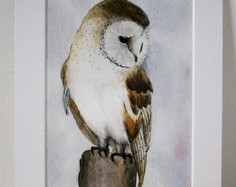 Fine Art Giclée Print, Barn owl, watercolour 8 X 10" by TheWildThingsArt