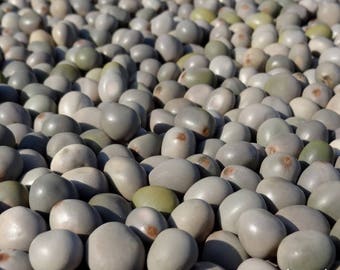 100 grams of mechanical gray collected in Madagascar
