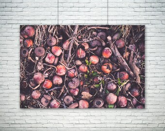 Nature Photography, Rustic Home Decor, Autumn Decor Print, Forest Floor Print, Woodland Photography, Forest Nursery Large Canvas Wall Art