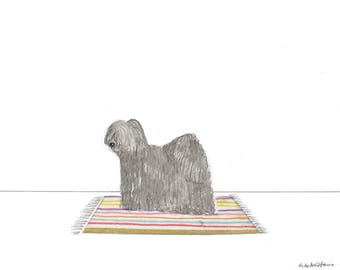 Hungarian Puli Art Print