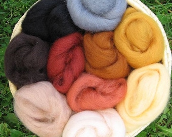 Corriedale Felting Wool - EARTH Colors Pack, 10 colors