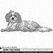 Shih Tzu Dog - Digital Stamp and Brush - INSTANT DOWNLOAD - for Cards, Scrapbooking, Journaling, Collage, Invites, Crafts and More