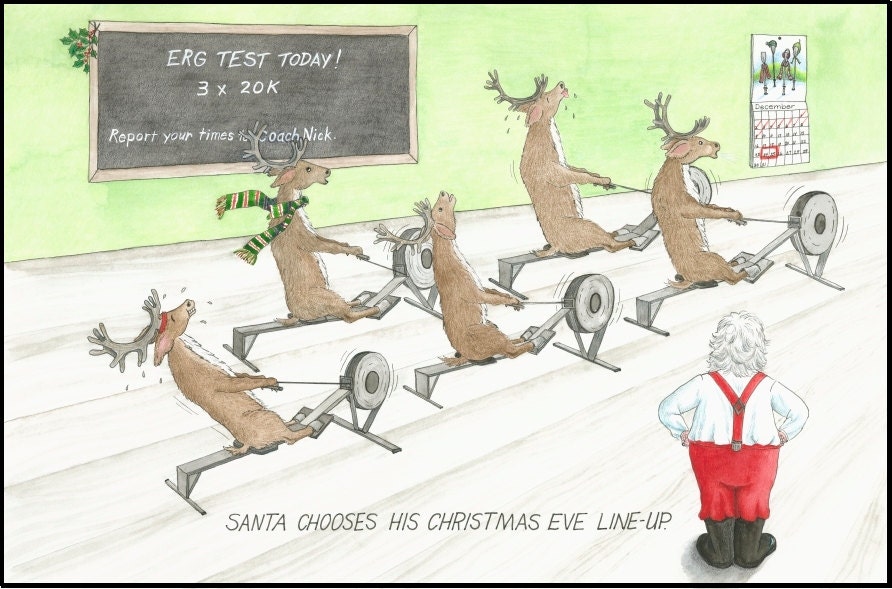 Box of rowing Christmas cards mixed pack