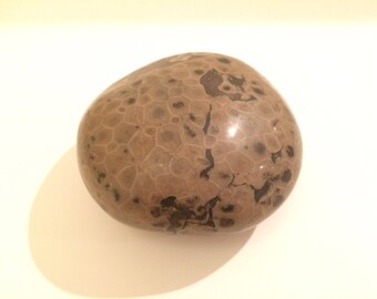 Large Petoskey Stone
