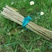 50 Yarrow stalks stems sticks for I Ching Chinese divination - 9 inch, wild harvested and crafted in the UK England, with silk tie and cloth