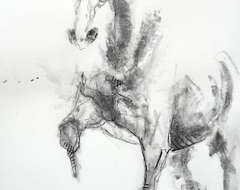 Graphite and Black Chalk Drawing of a Piaffe Horse, Horse Art, Animal, Modern Original Fine Art