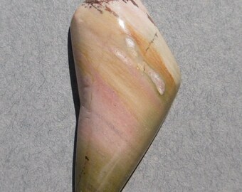 Owyhee Picture Jasper Cabochon (38X17X7)
