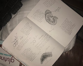 Informational/ science and biology drawing